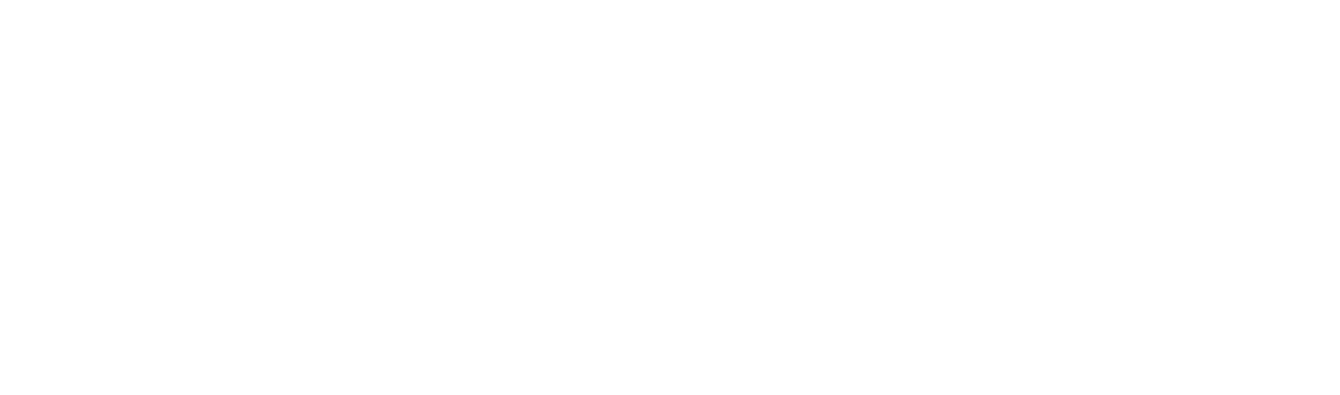 Anizo logo